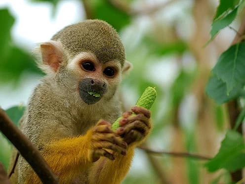 TAMBOPATA 2D/1N gallery