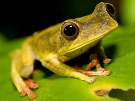 TAMBOPATA 2D/1N gallery