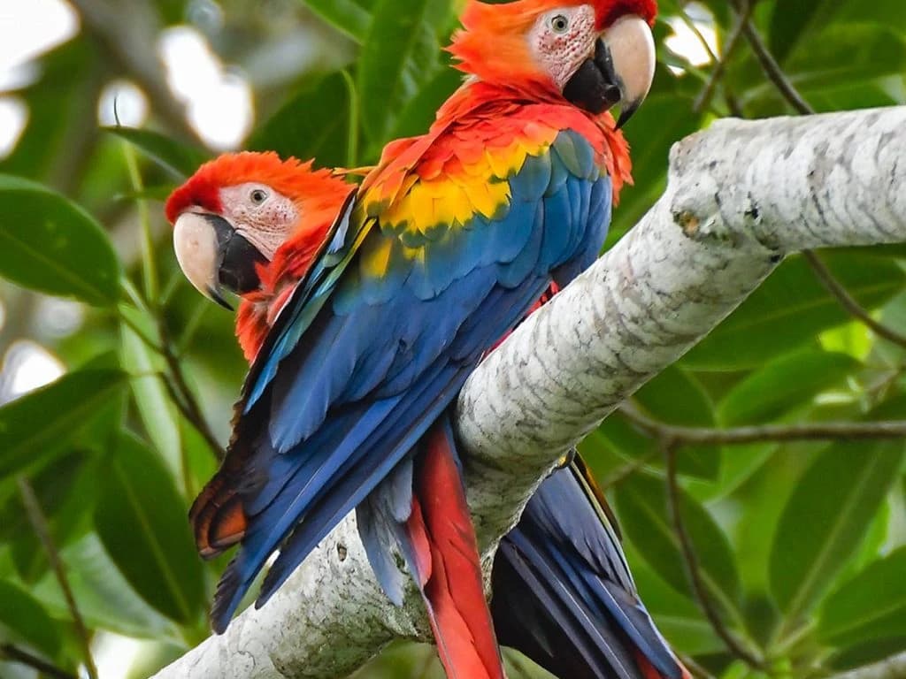 TAMBOPATA 3D/2N gallery