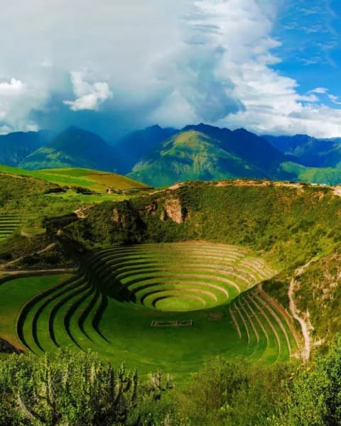 moray