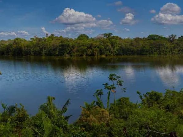 COLLPA DE GUACAMAYOS Y LAGO SANDOVAL 4D/3N gallery