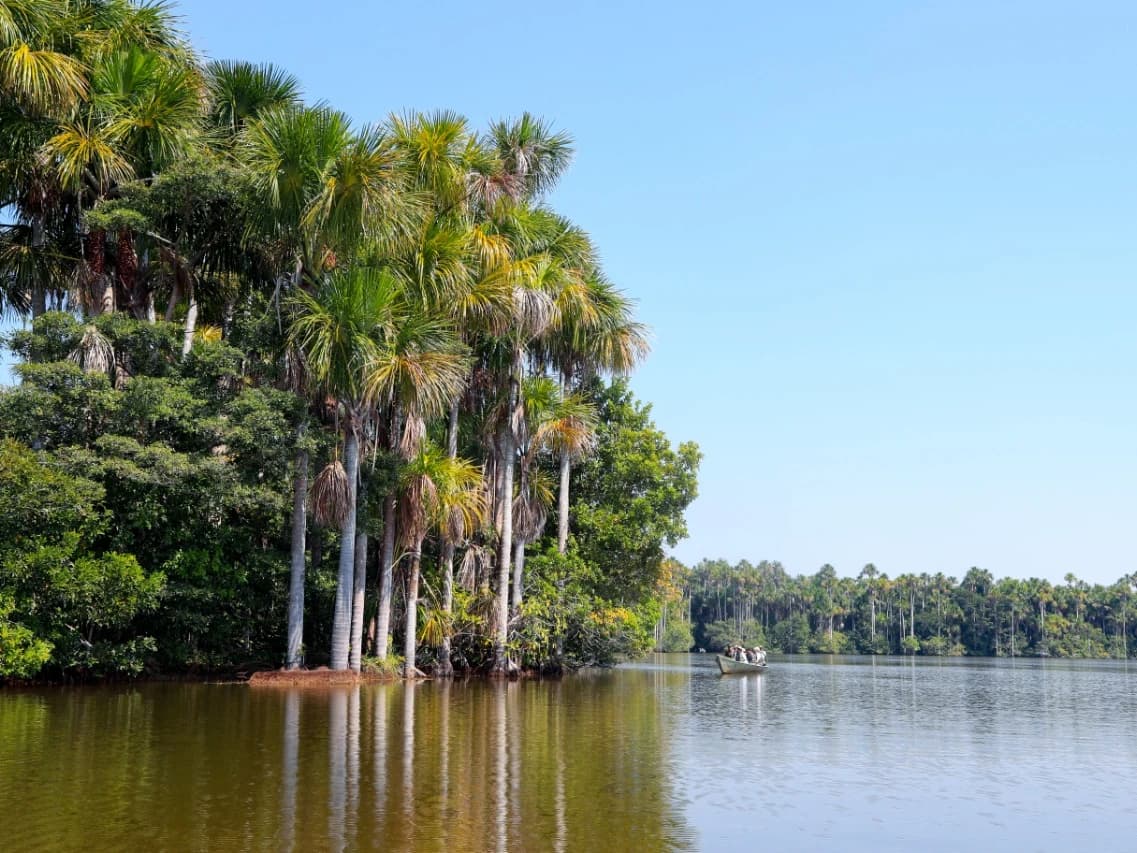 TOUR TAMBOPATA 2D/1N gallery