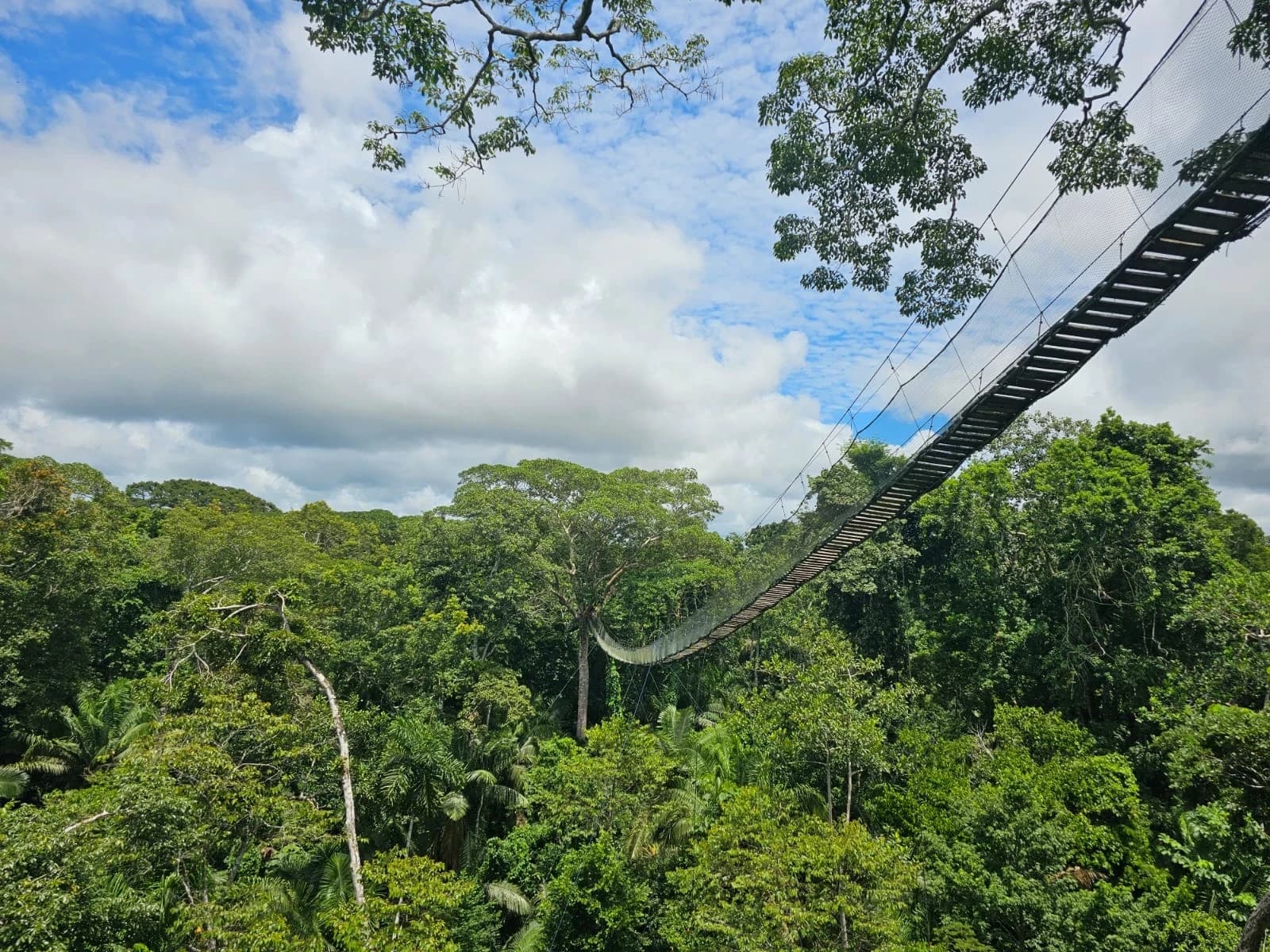 TOUR TAMBOPATA 4D/3N gallery