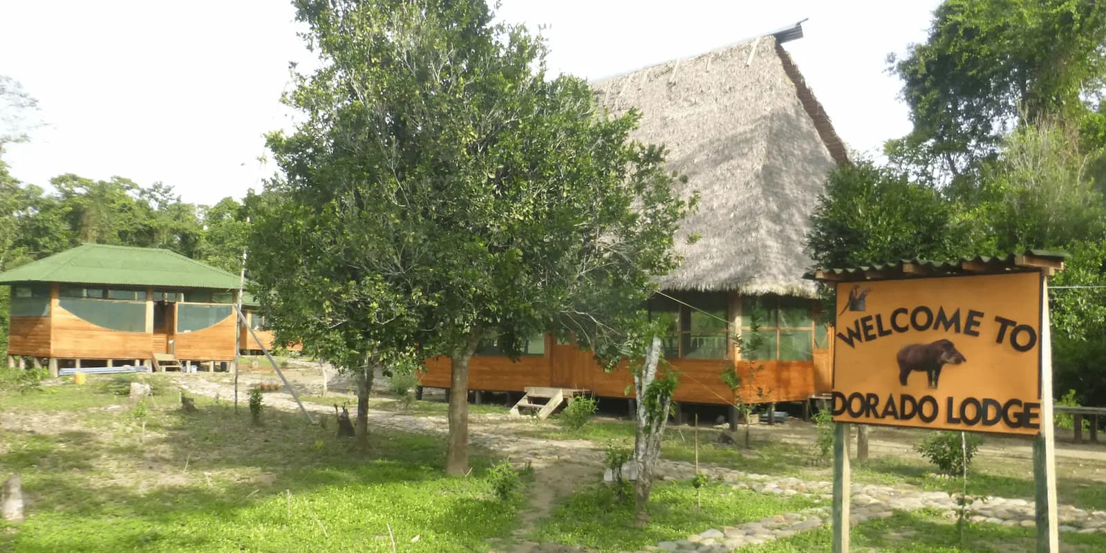 Manu Dorado Rainforest Lodge Tour 5D/4N