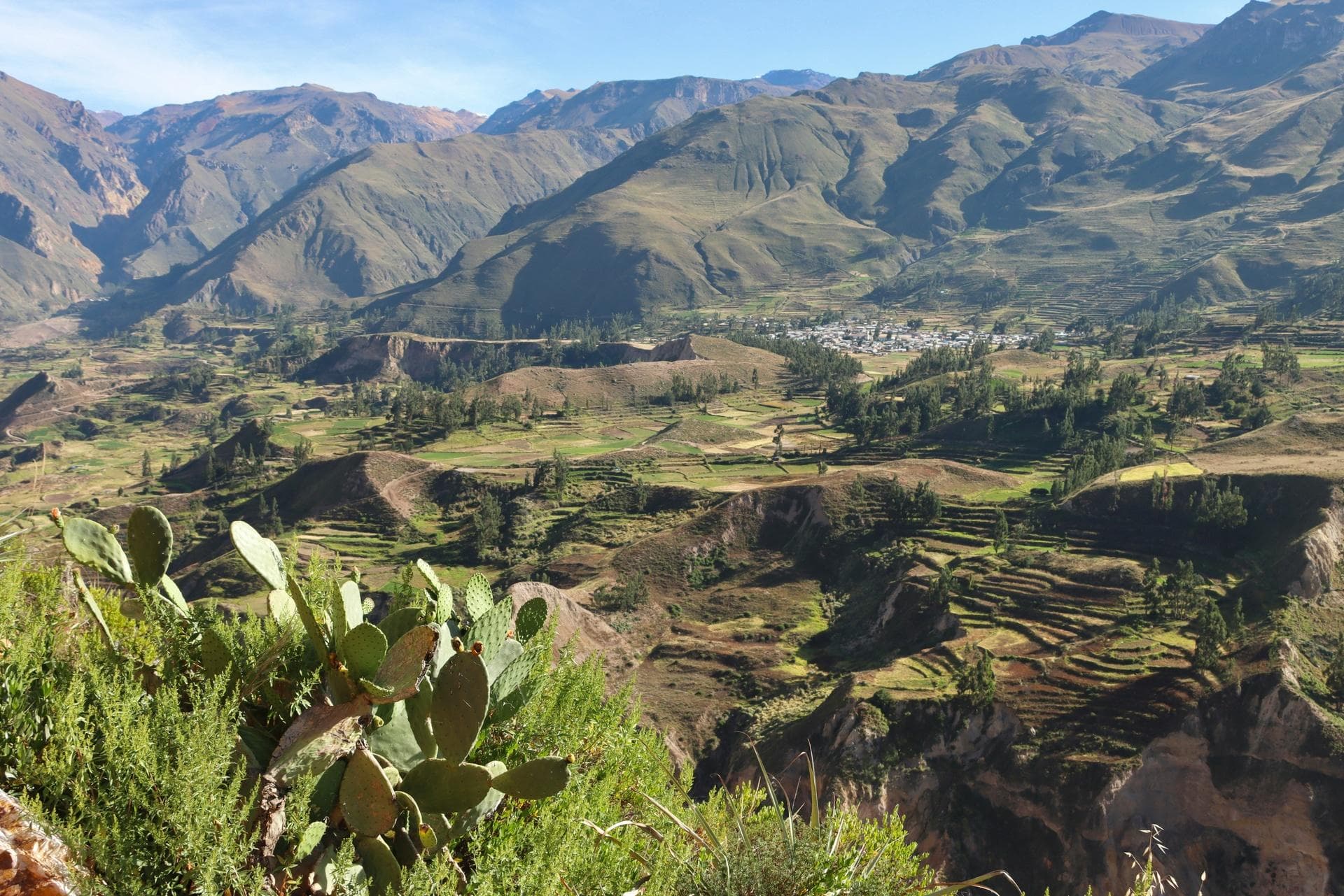 Cañón del Colca 2D