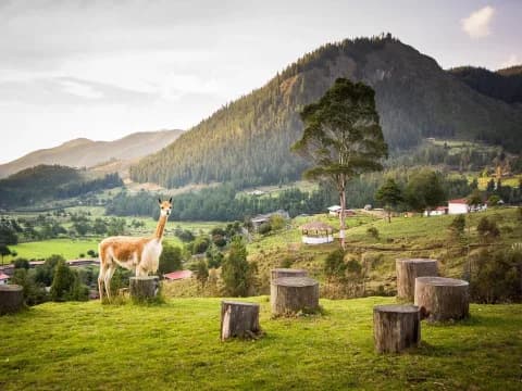 GRANJA PORCÓN & VENTANILLAS DE OTUZCO